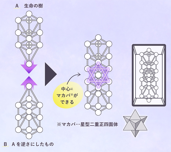 WDカバラ ネックレストップ チャーム