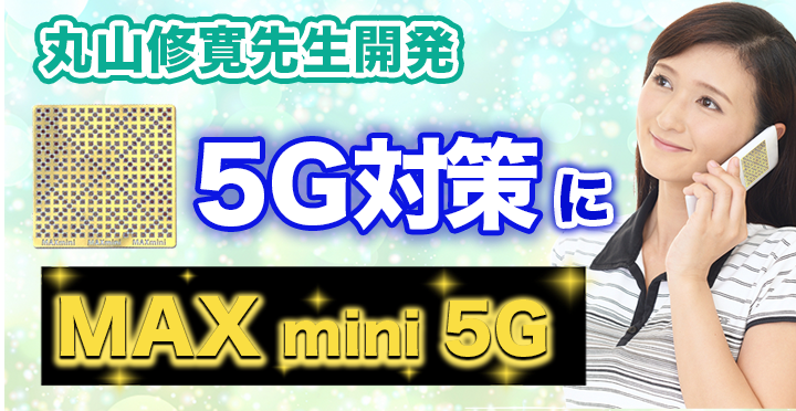 MAX mini 5G（マックスミニ５G）貼り方