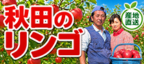 秋田のリンゴ　佐々木公生果樹園