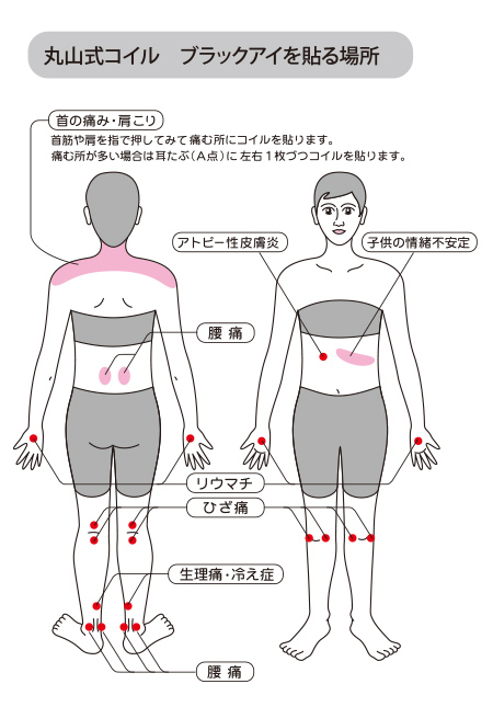 丸山式コイル ブラックアイ ナノ【丸山修寛先生シリーズ】