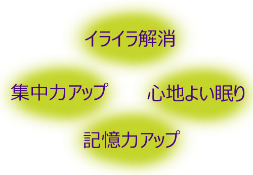 サーキュエッセンスはイライラ解消、集中力アップ、心地よい眠り、記憶力アップ