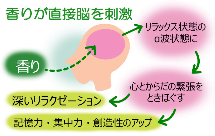 サーキュエッセンスが直接脳を刺激