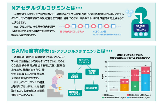 グルコサミン8