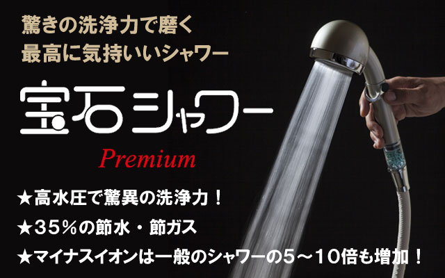 本日の目玉 宝石シャワープレミアム スノーホワイト