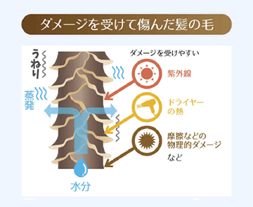 イリアール02