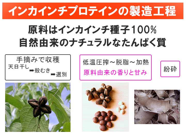 オーガニックインカインチプロテイン