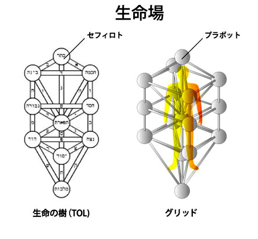 生命の樹　3Dカバラ　パドマ　立体カバラ　ヒンメリ　★GGL