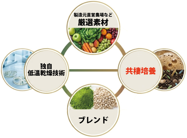 酵素乃泉