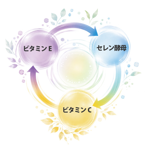 酵素乃泉
