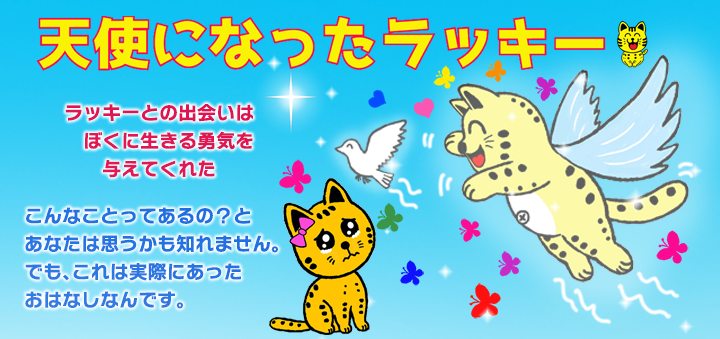 天使になったラッキー