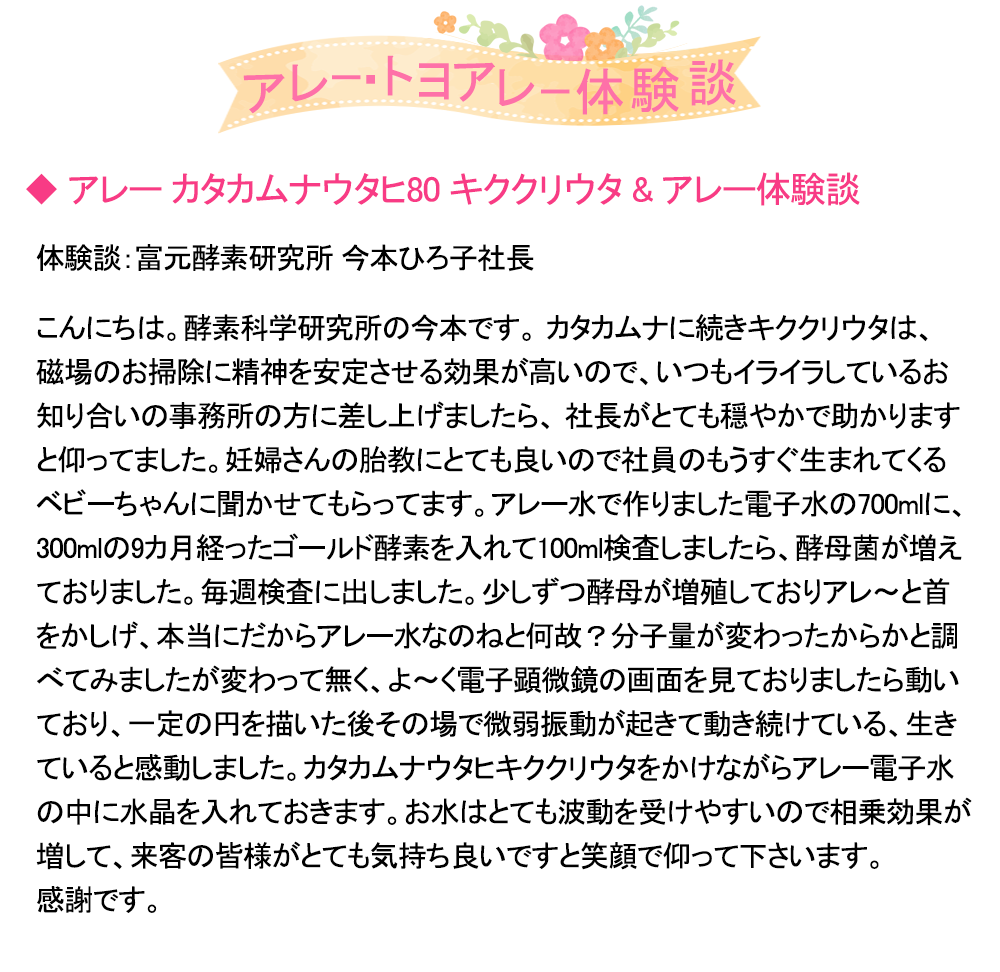電子水生成器 アレー2 「トヨアレー」